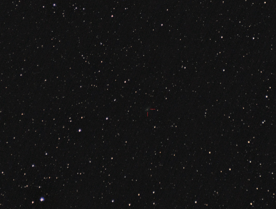 c2019y4 34x31s-ps.jpg