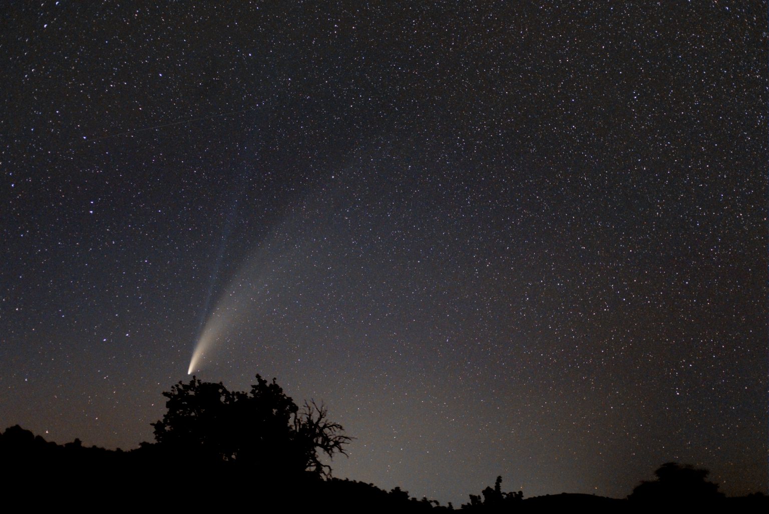 C2020 F3 (Neowise)- by Radu Gherase1.jpg