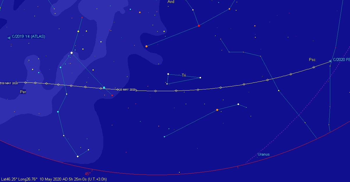 C2020F8(SWAN).jpg