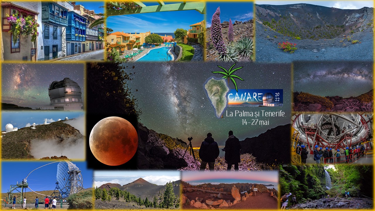 CANARE 2022.jpg
