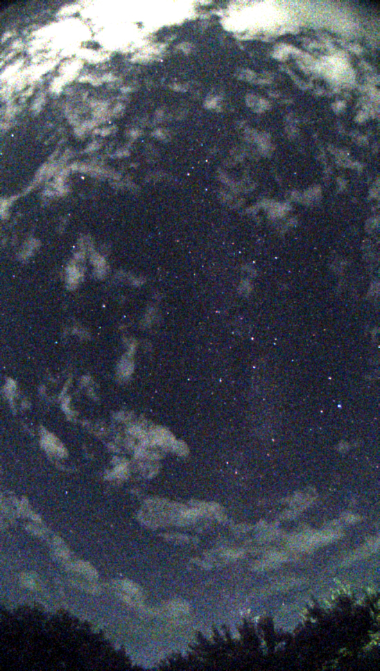 Capture_00004.jpg