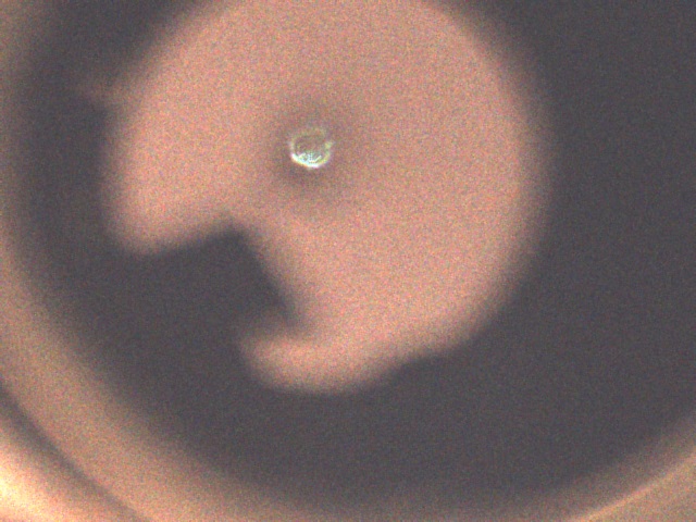 Capture_00005.jpg
