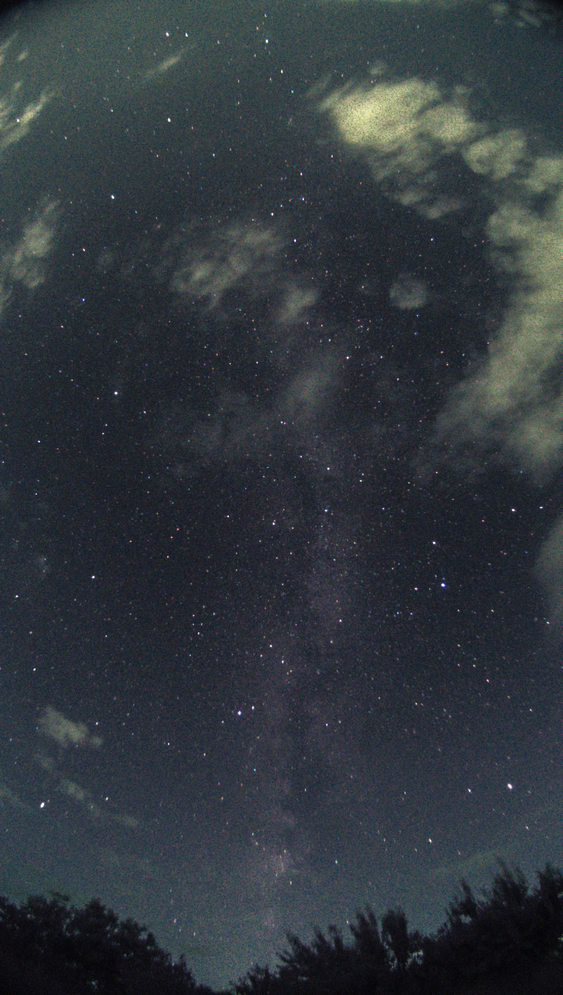 Capture_00078-2.jpg