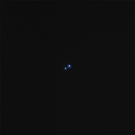 castor 13 mar 2020.jpg