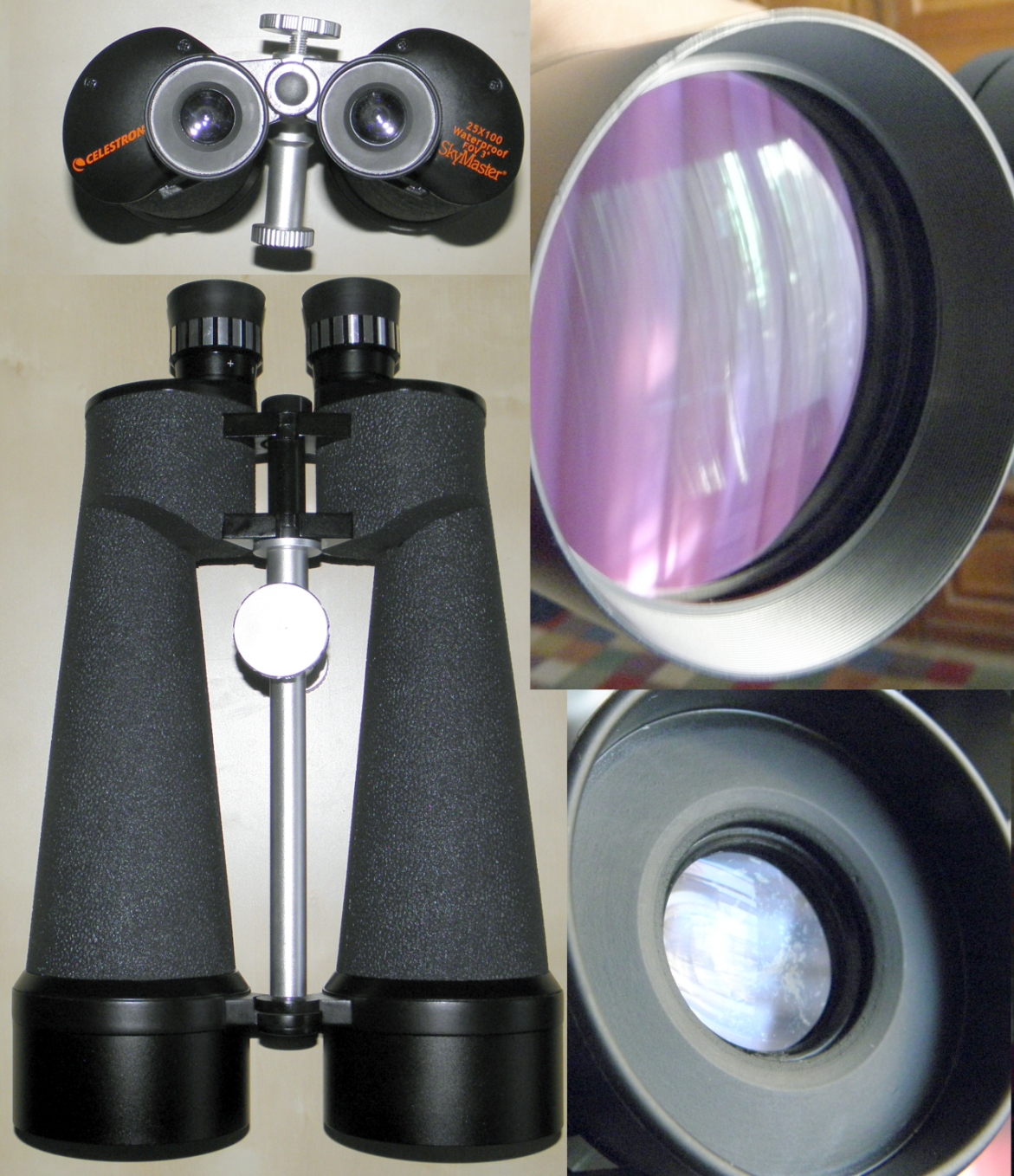 Celestron25x100mic.jpg
