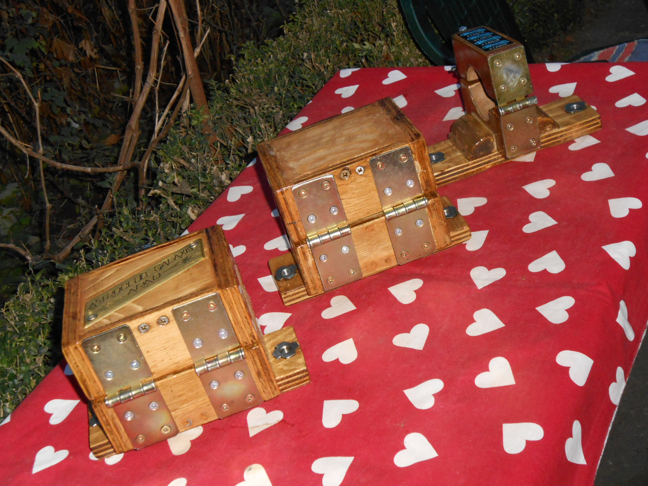 Clamshells.hinges-balamalele.JPG