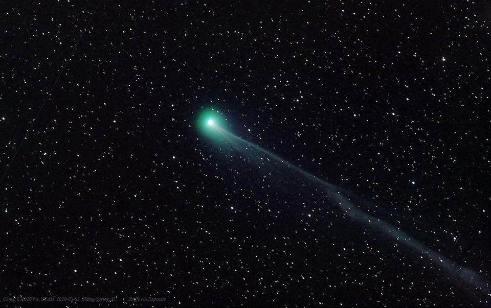 Comet C2020 F8 (SWAN).jpg