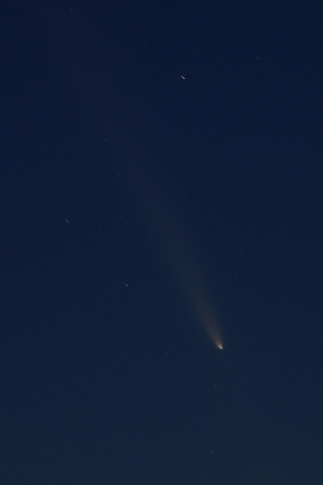 cometa 1.jpg