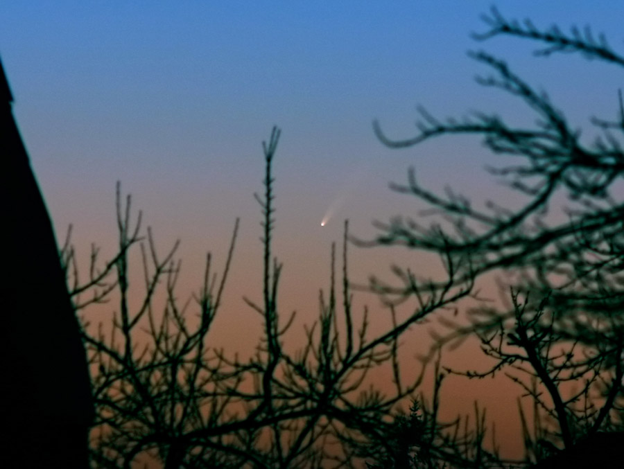 Cometa prin copaci in seara asta.jpg