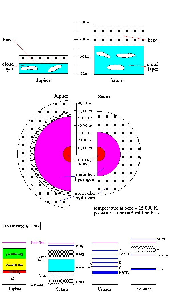 comparatie d.jpg