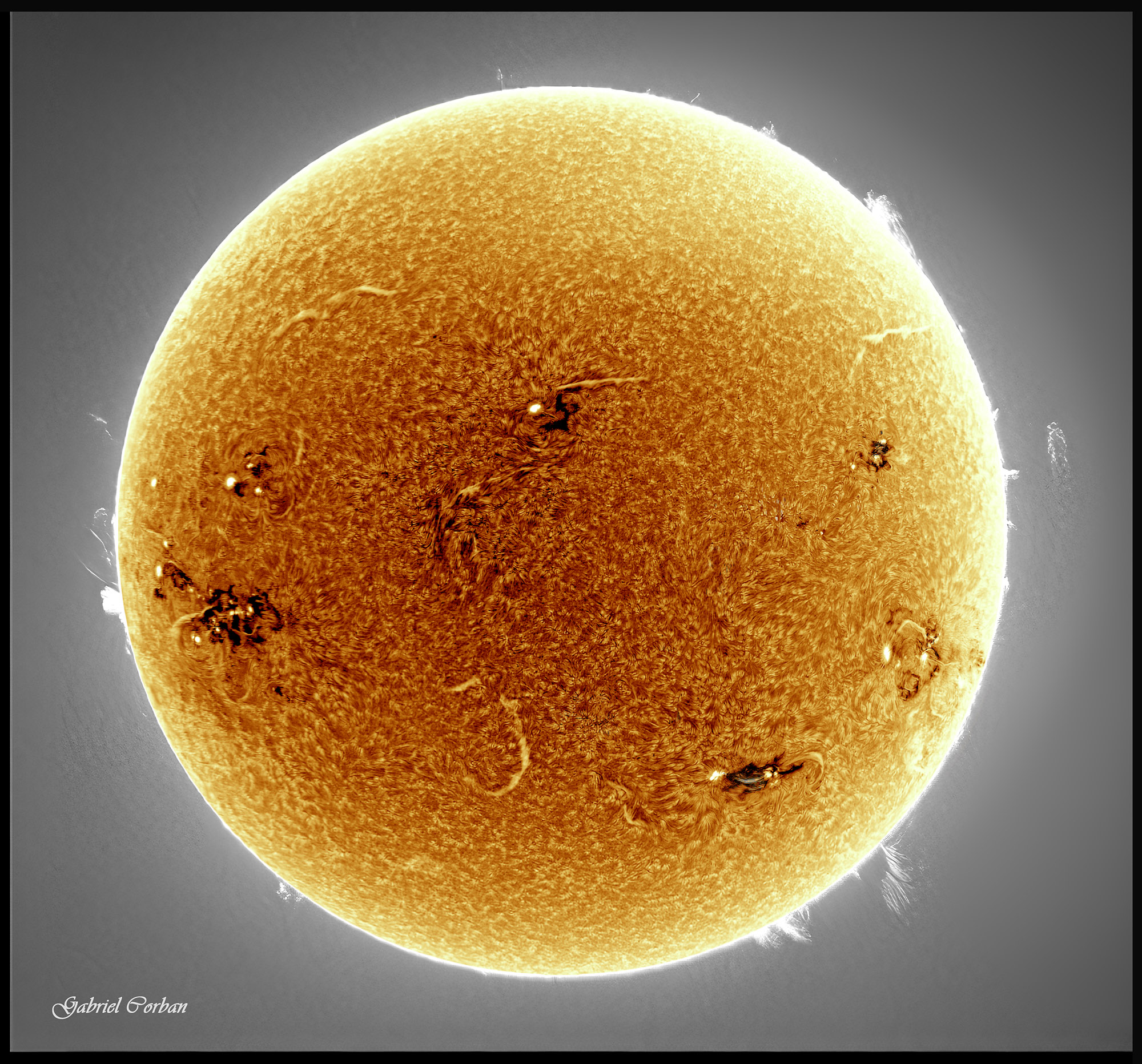 Compose N 3 tx gt JG 2000 col.jpg