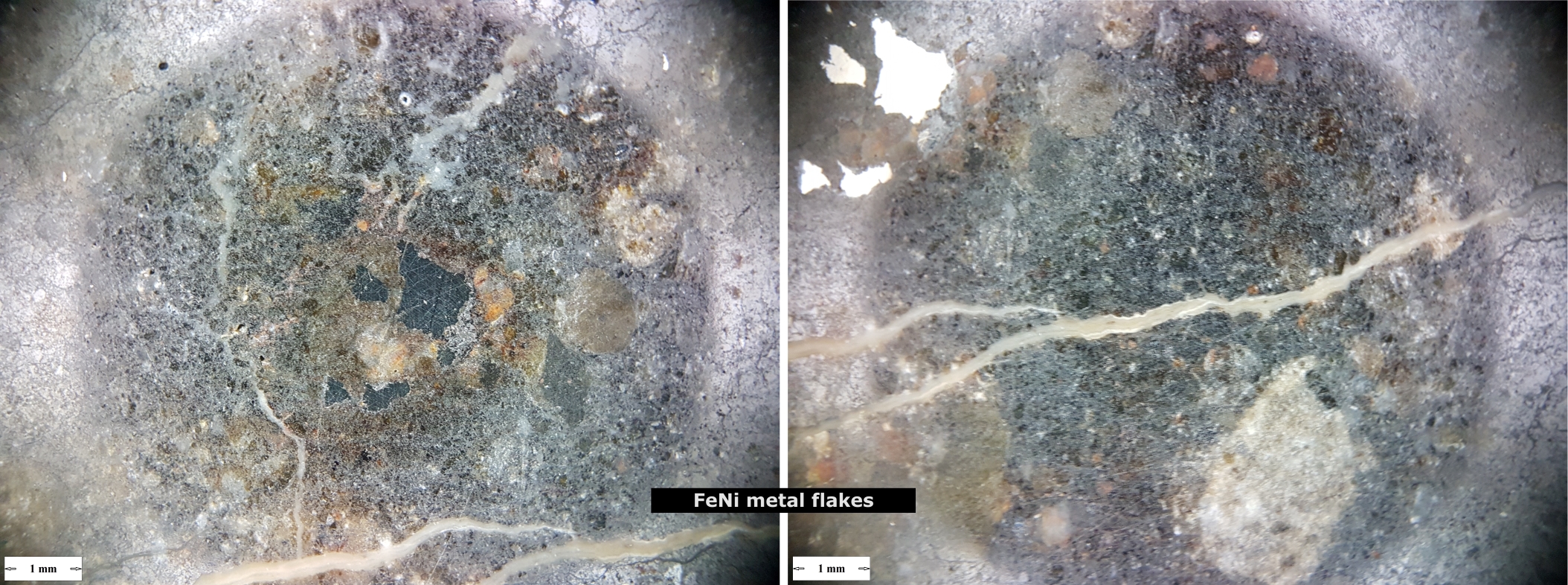 composite 02 lores.jpg