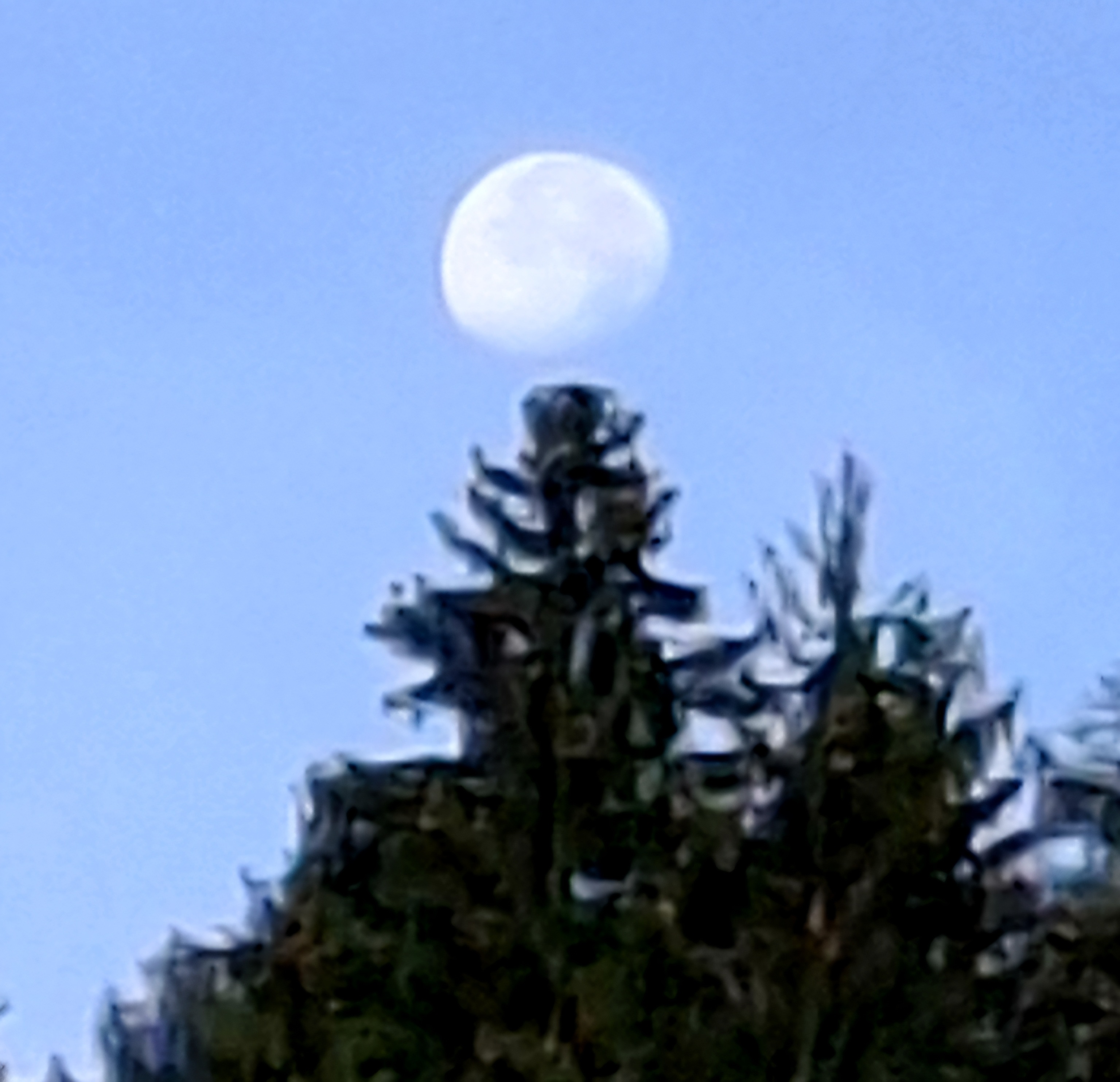 Compress_20251010_085347_7015.jpg