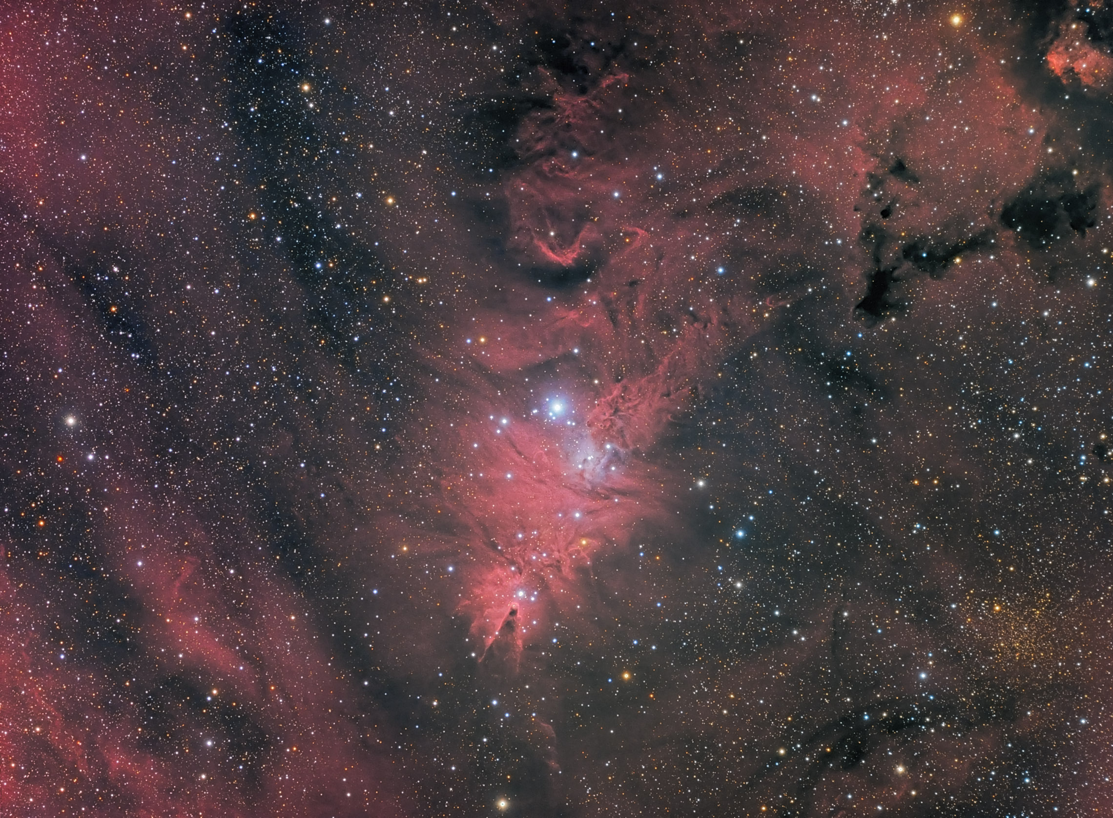Cone Nebula & Christmas Tree.jpg