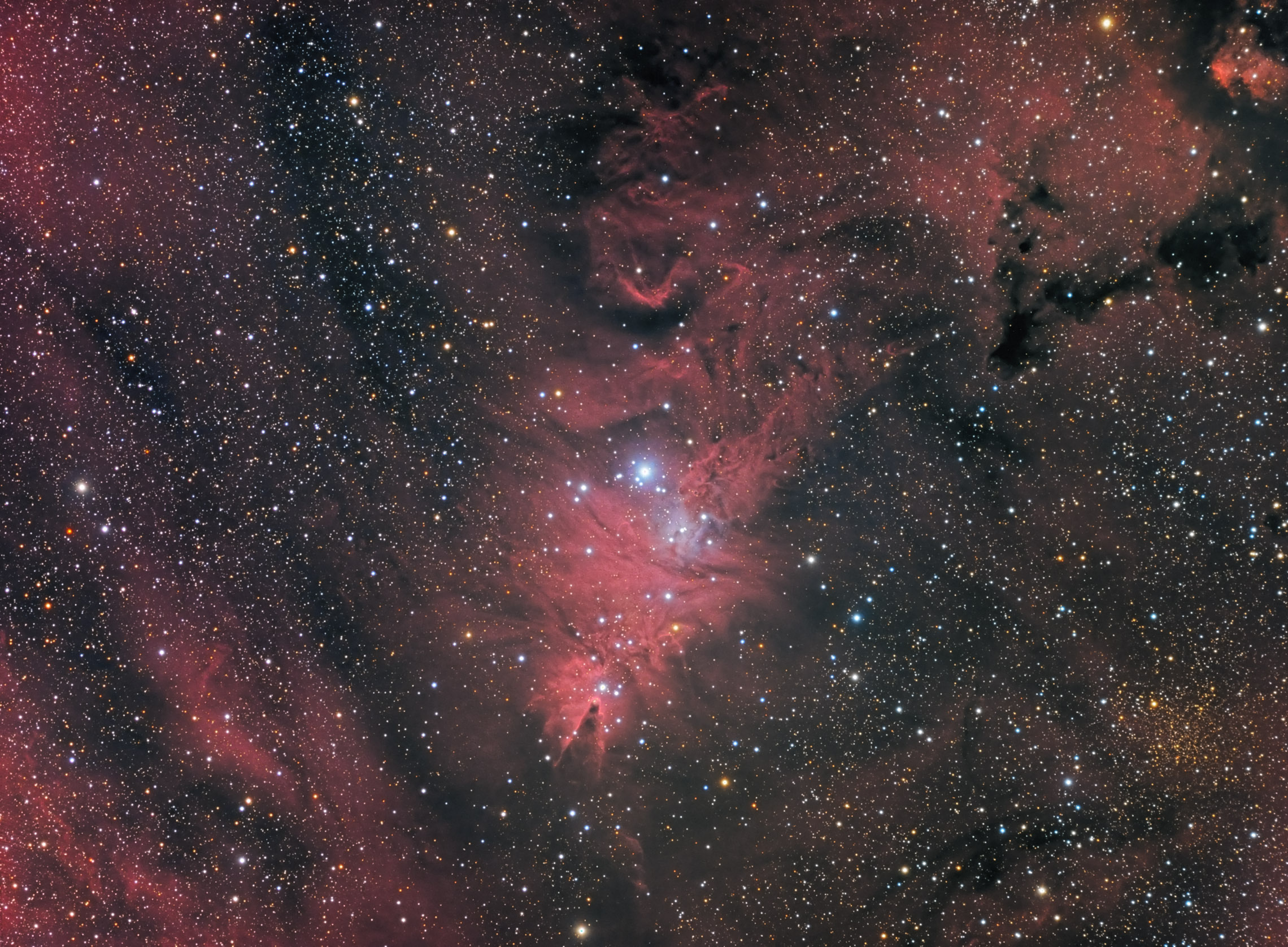 Cone Nebula & Christmas Tree_ wide field.jpg