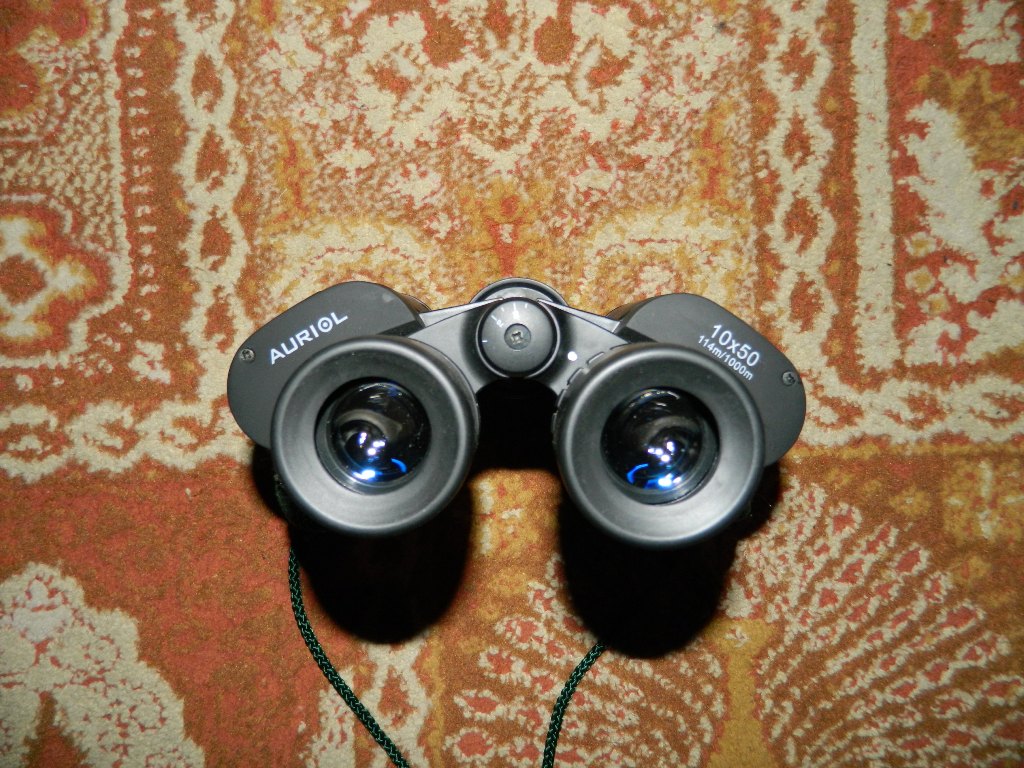 Copy of DSCN6557.jpg