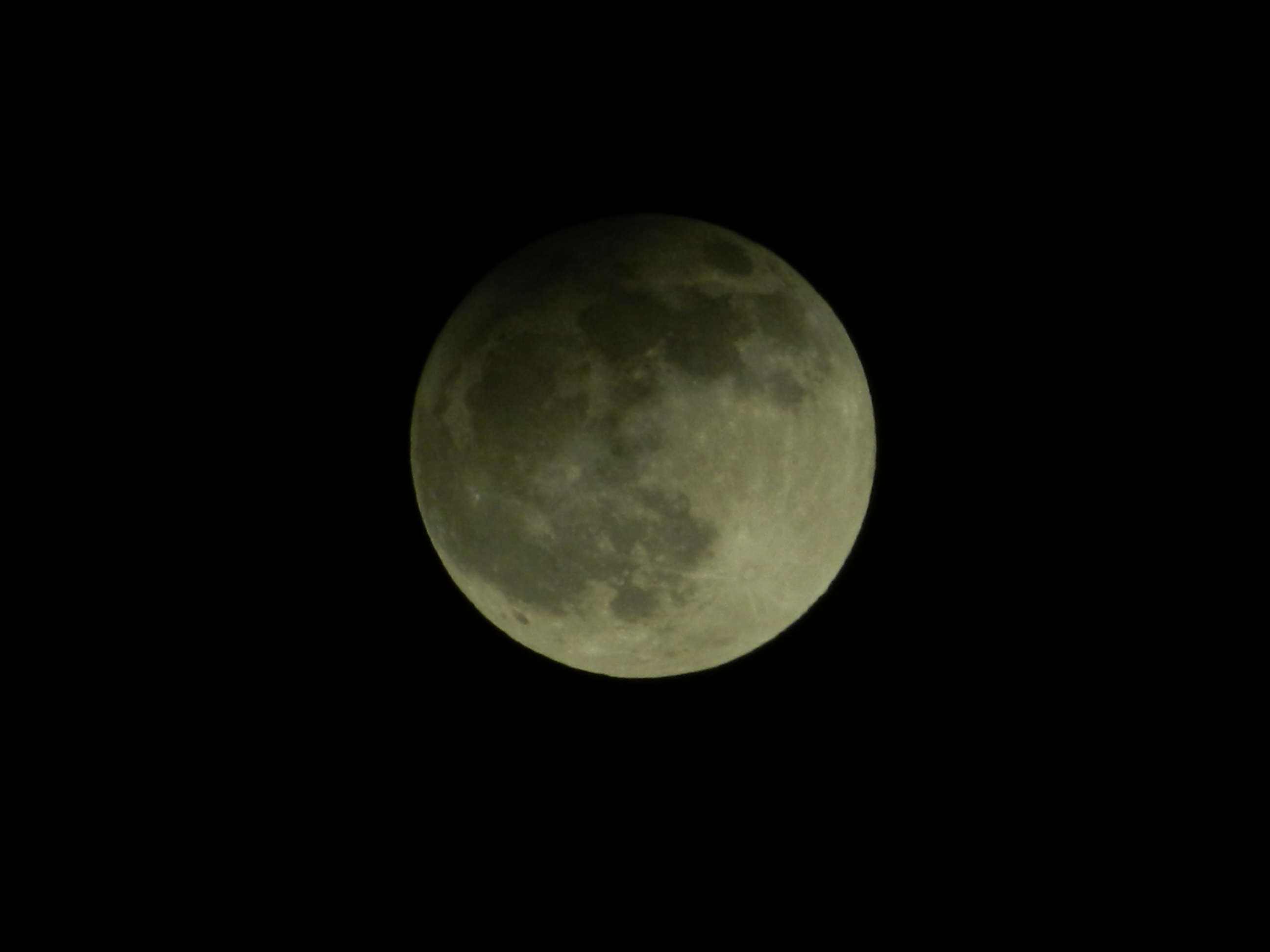 Copy of DSCN7040.jpg