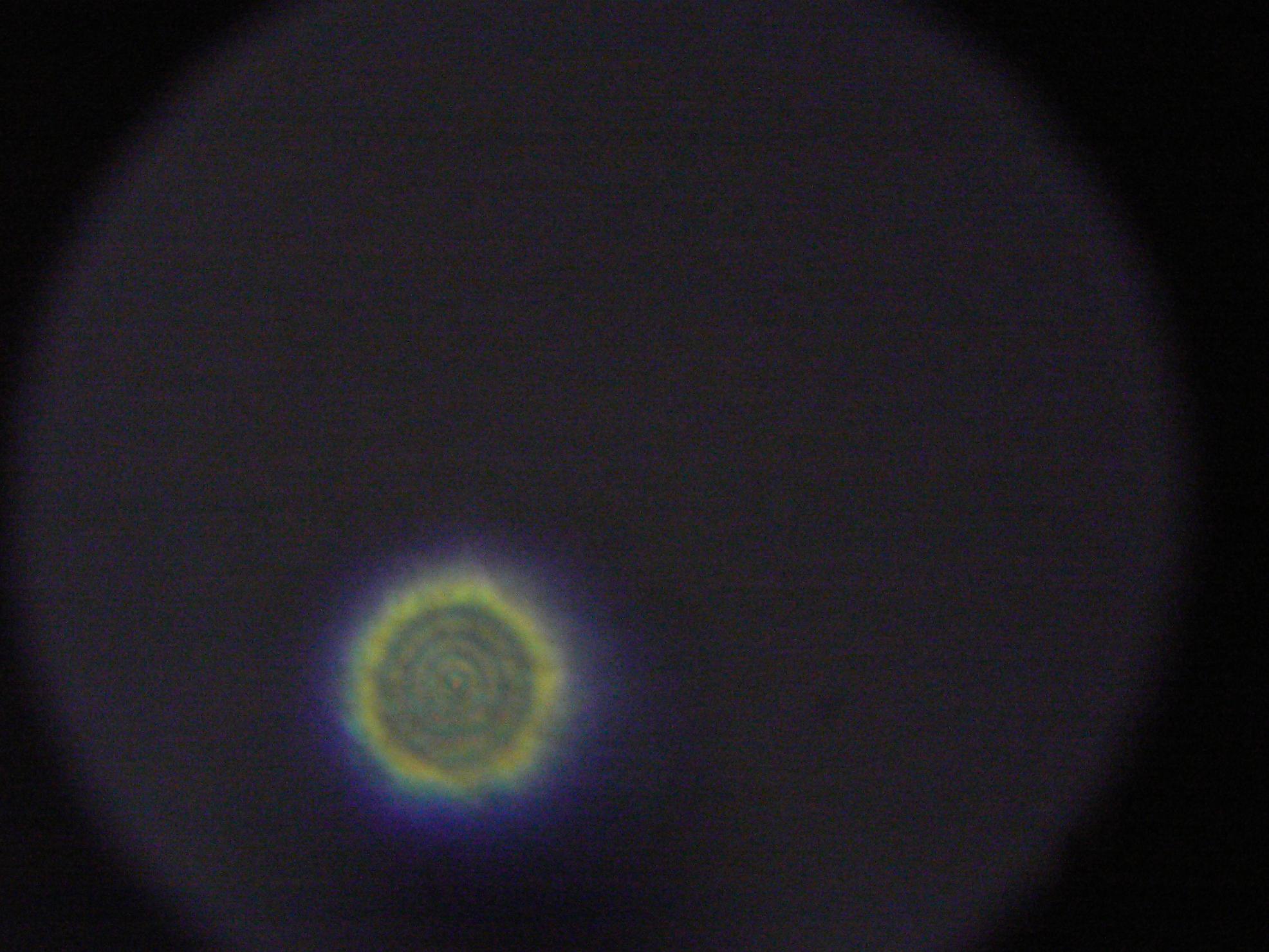 Copy of P1060275.JPG