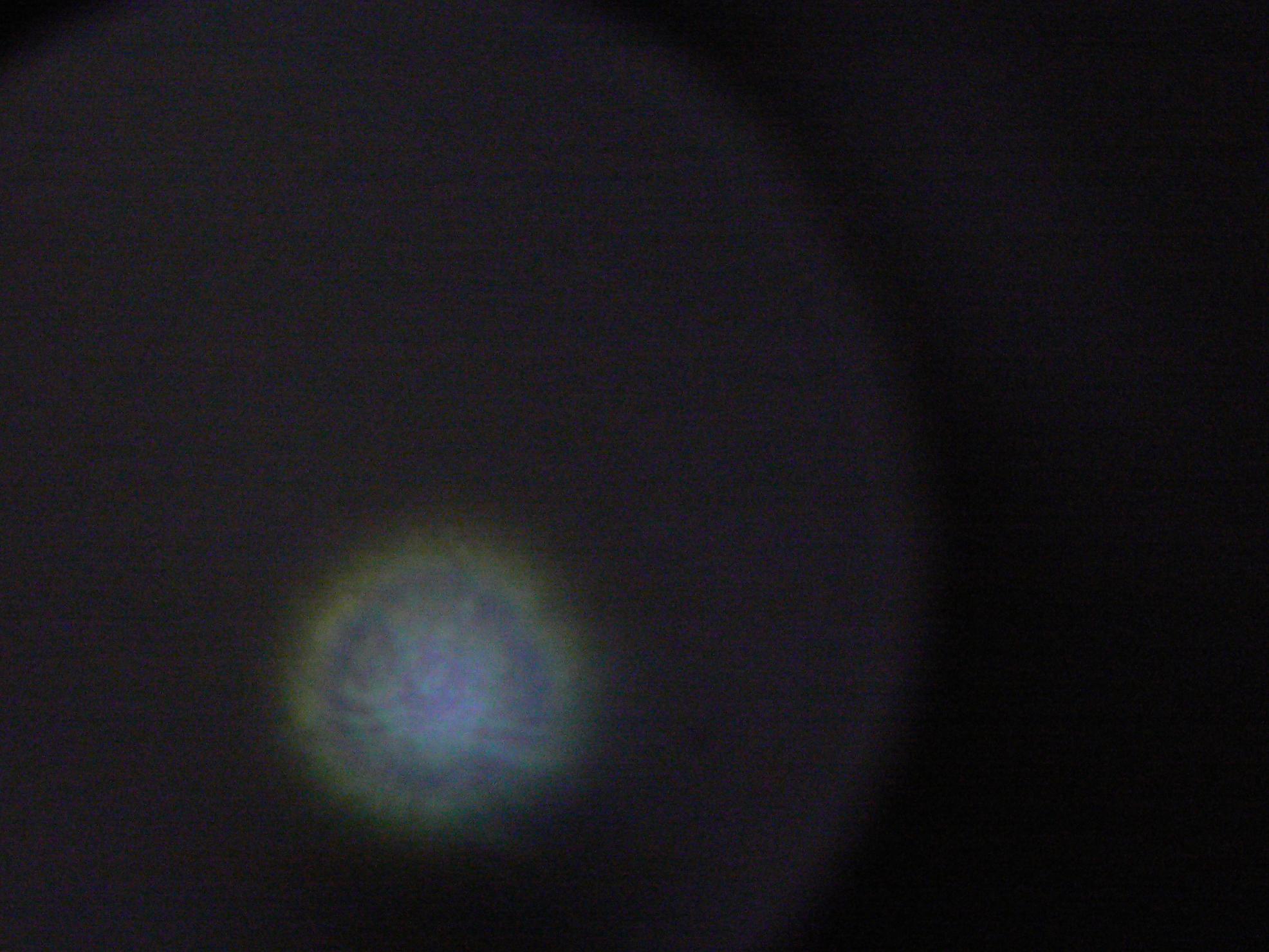 Copy of P1060276.JPG