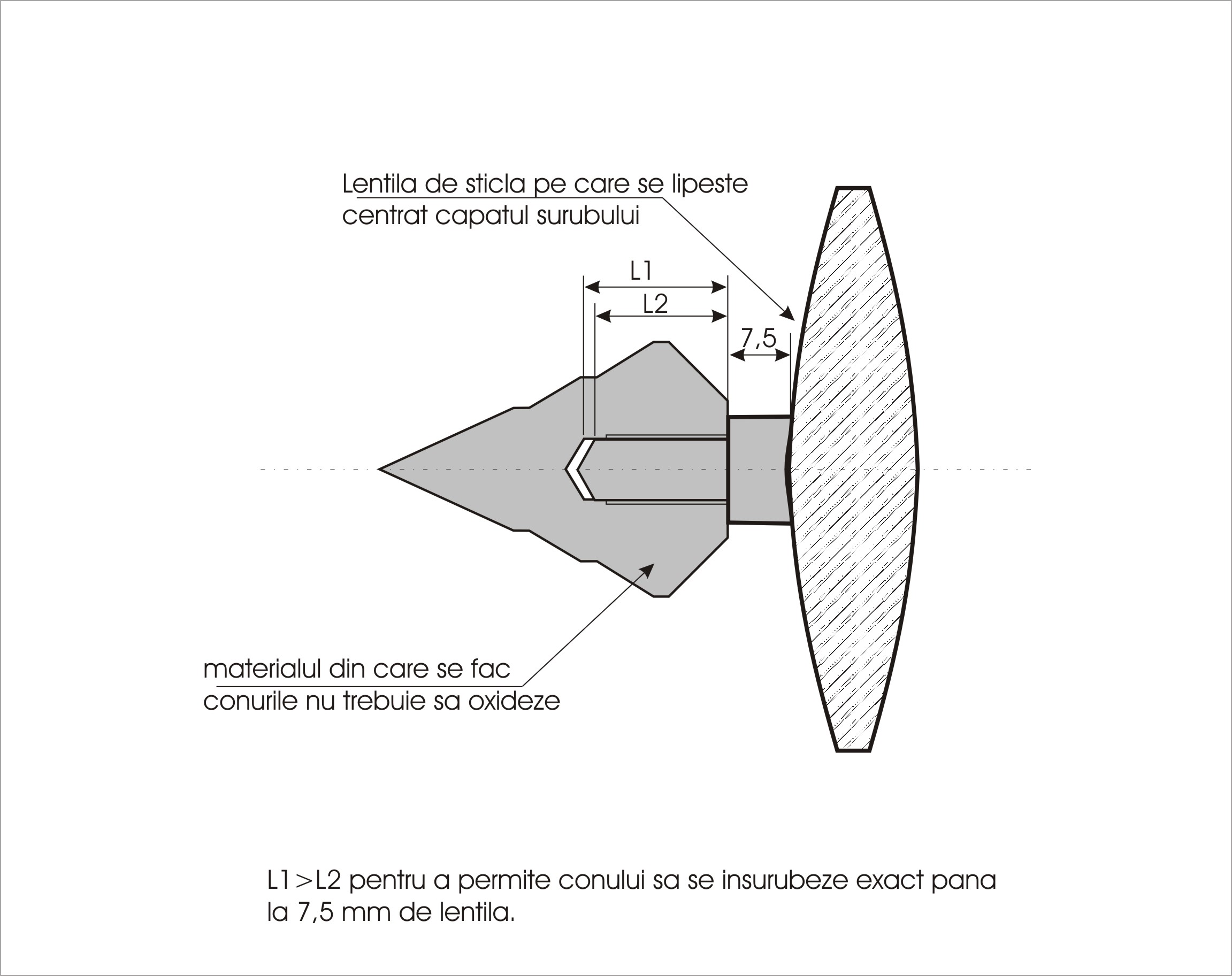 corono con1.jpg