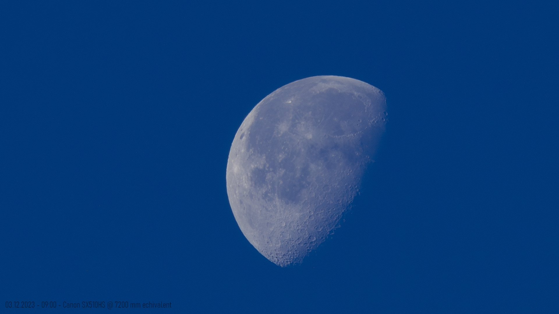 CRW_5995.jpg