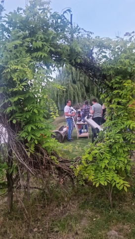 Cununa de lauri pt. organizator.png