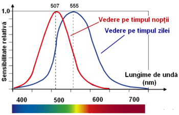 Curbele de sensibilitate spectrala ale ochiului uman.png