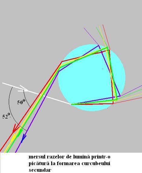 curcubeu 003.JPG