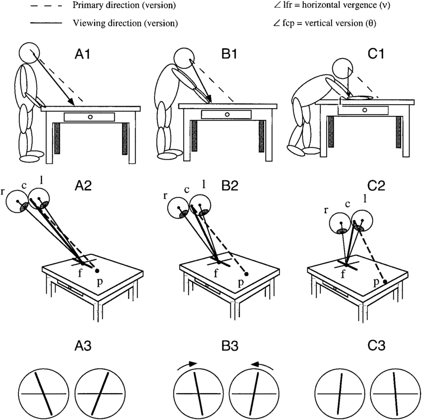 Cyclodisparities-during-head-translations-A1-C1-head-translation-above-a-table-while.png