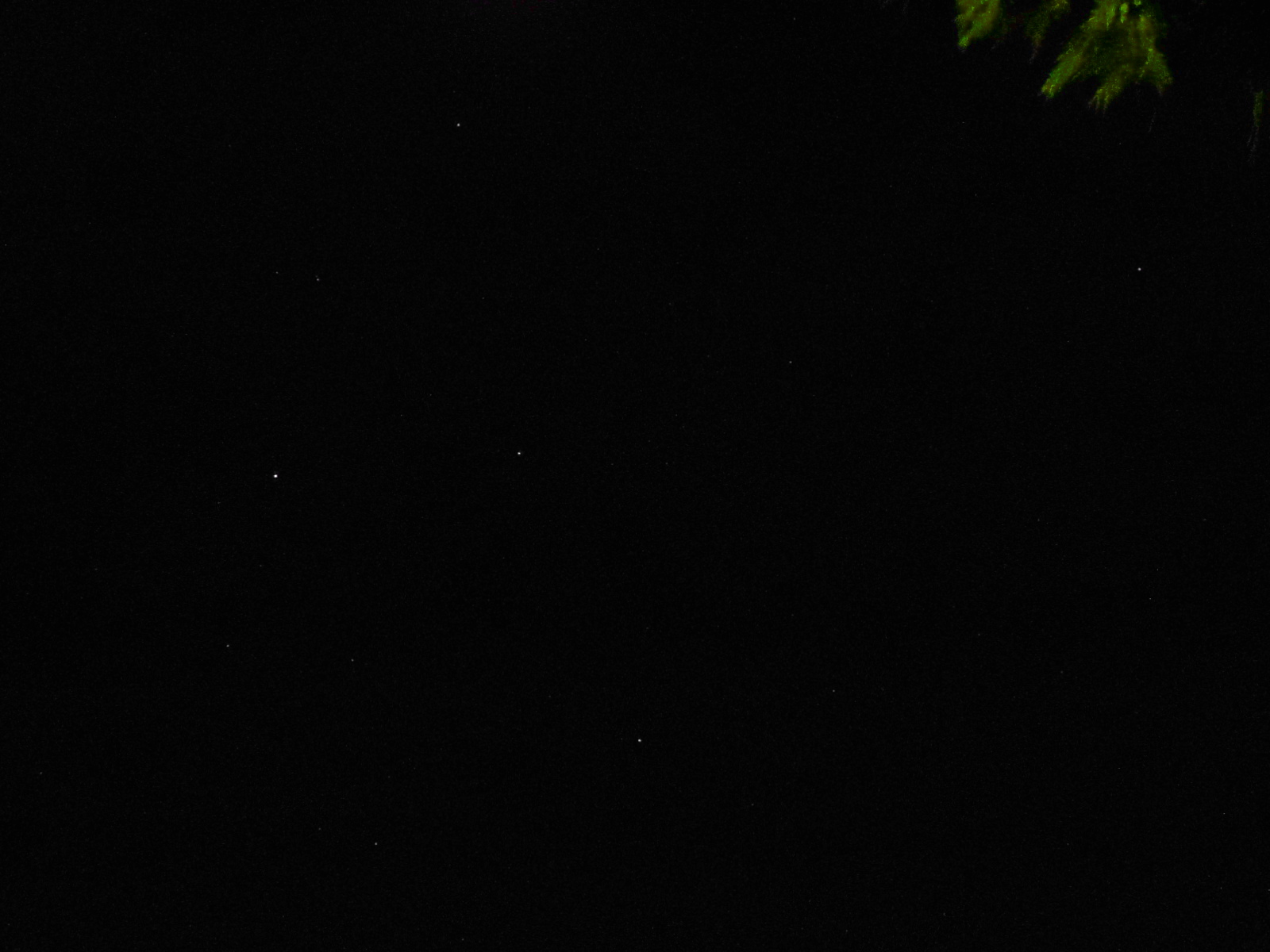 Cygnus 31.08.16.JPG