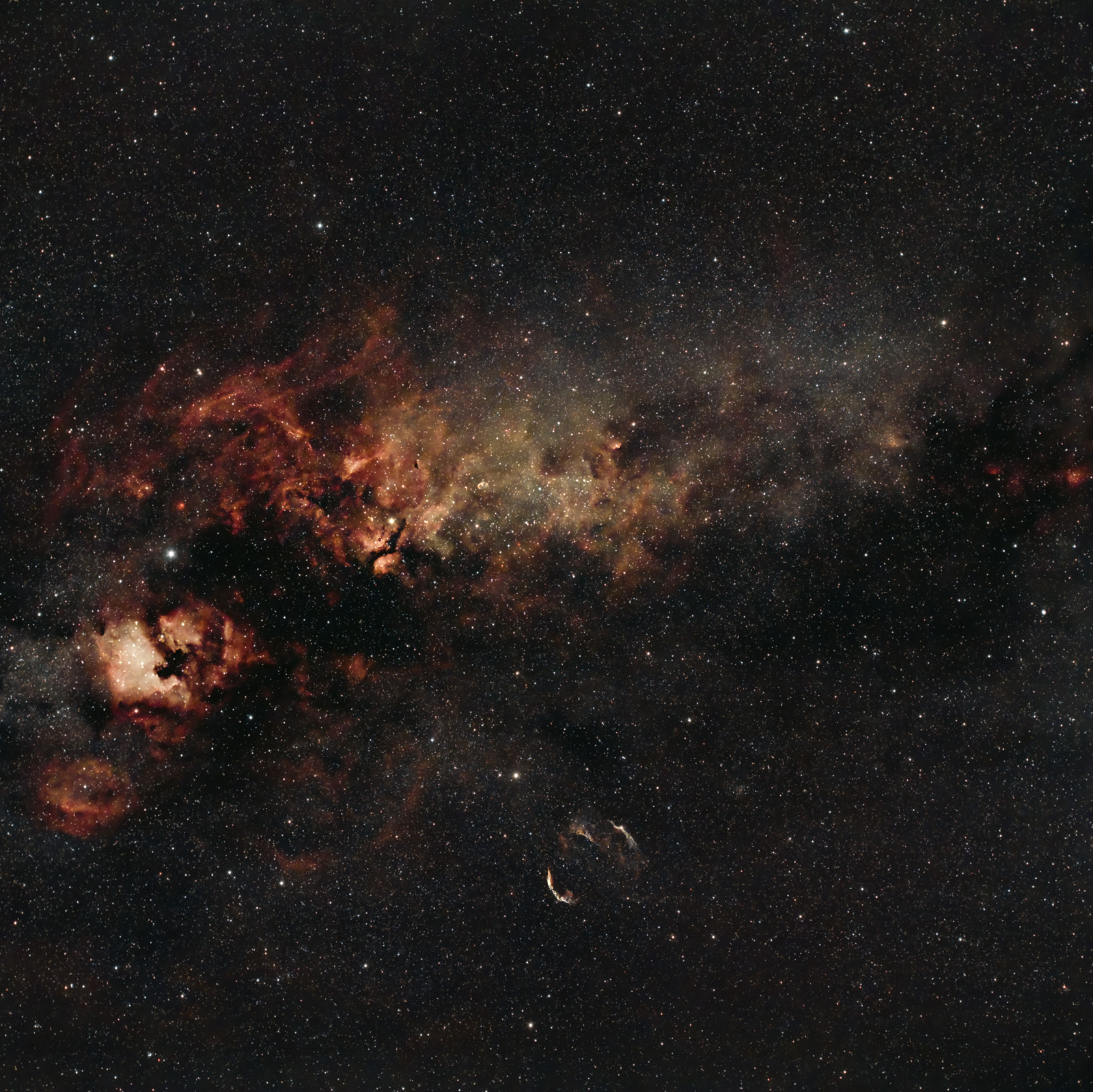 Cygnus_Final1.jpg