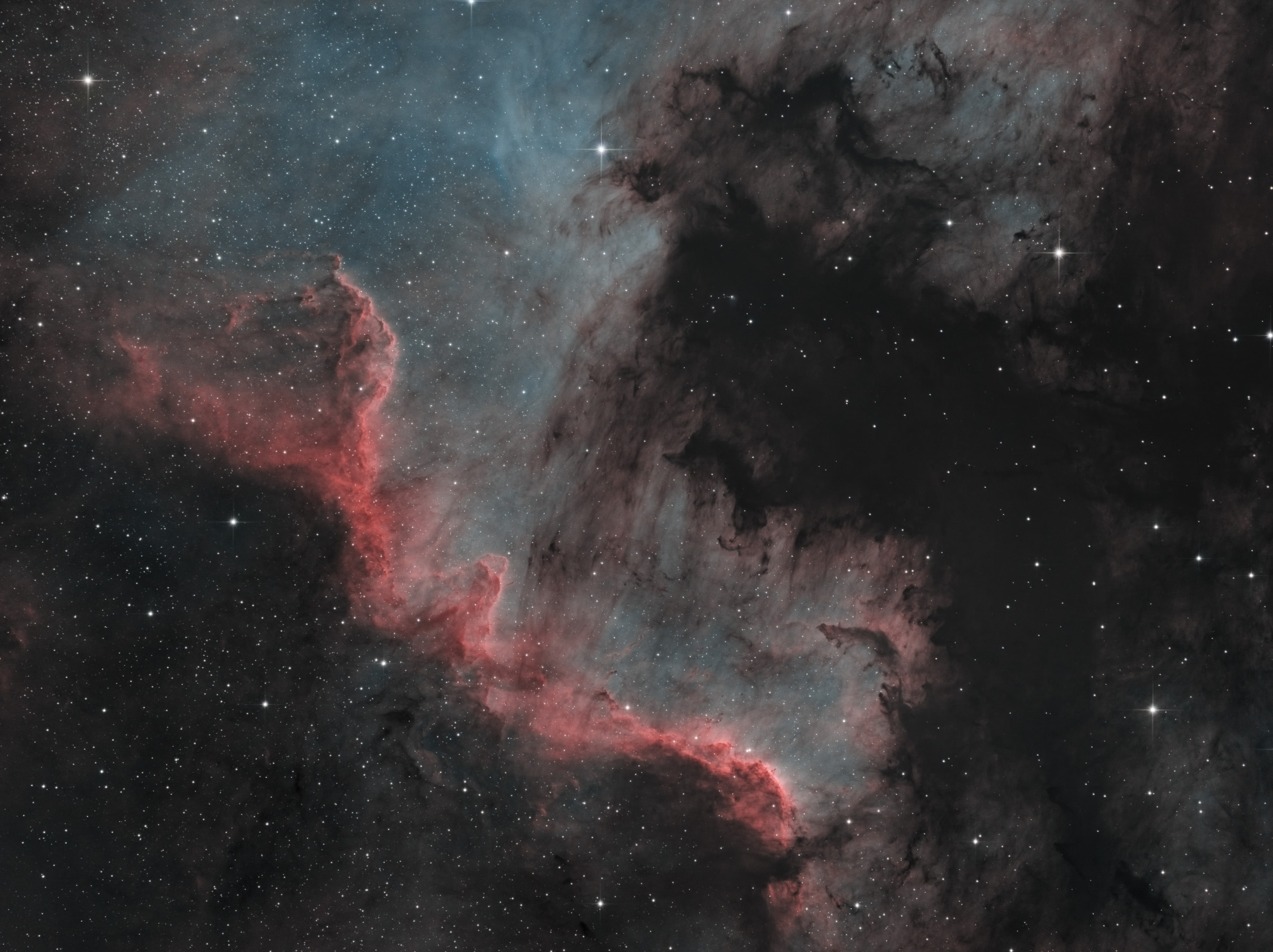 Cygnus Wall_HOO_lin comb.jpg