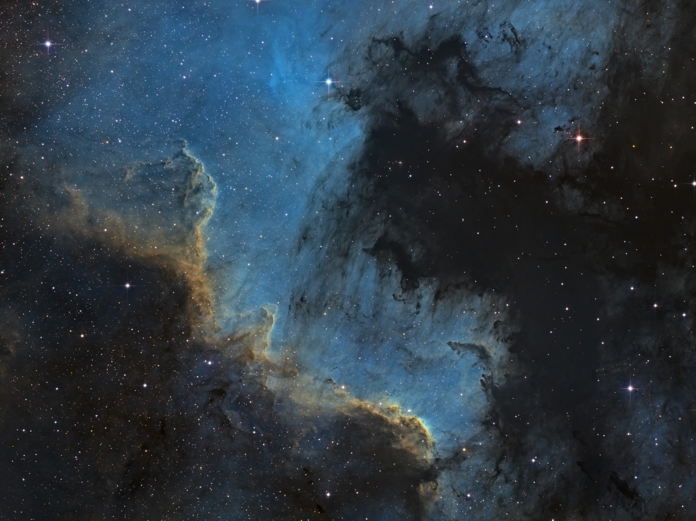 Cygnus Wall_SHO.jpg