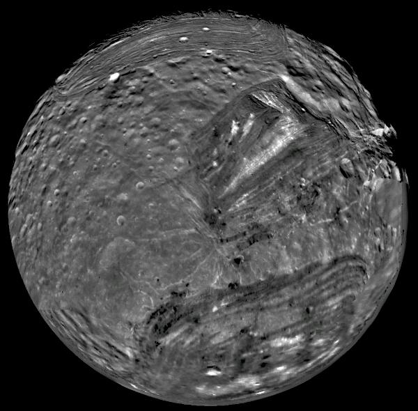 dare_miranda_pia01490.jpg