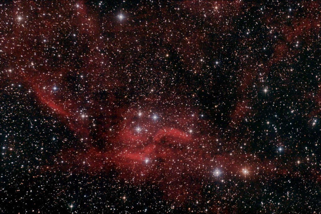 DBW111finalklein.jpg