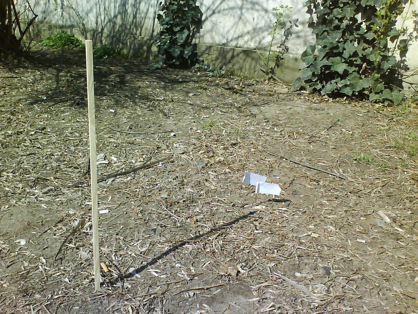 DSC00695.JPG