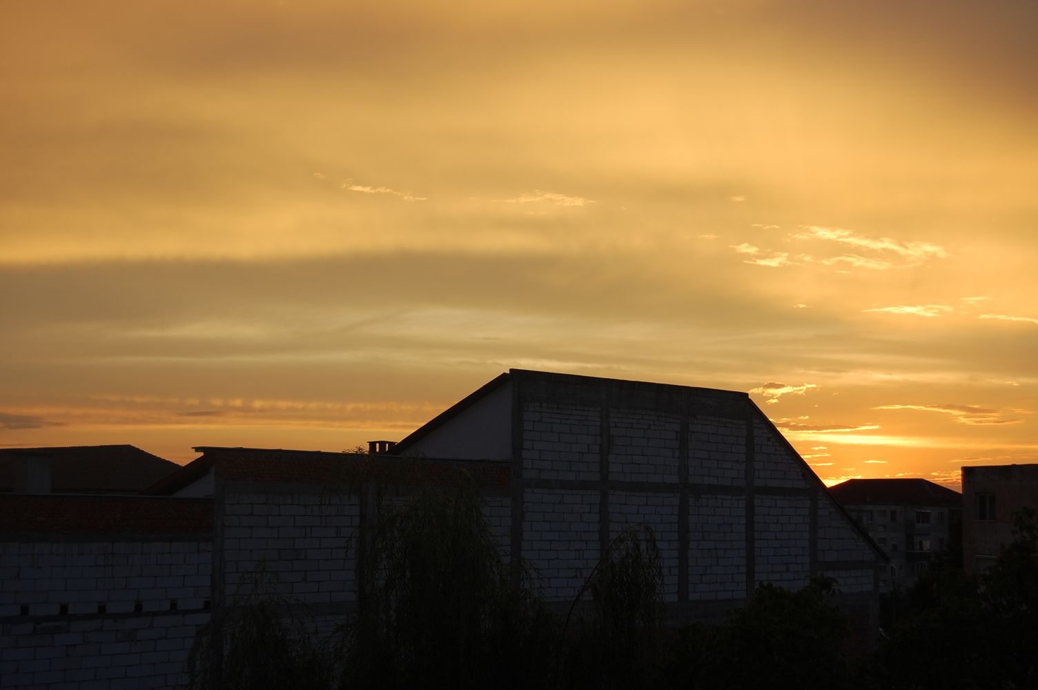 DSC_0113.jpg