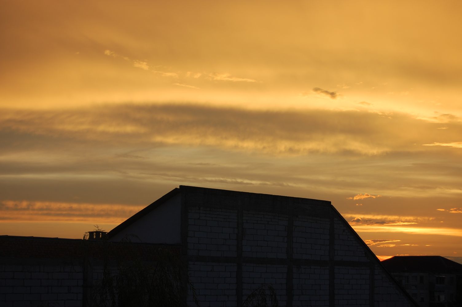 DSC_0124.jpg