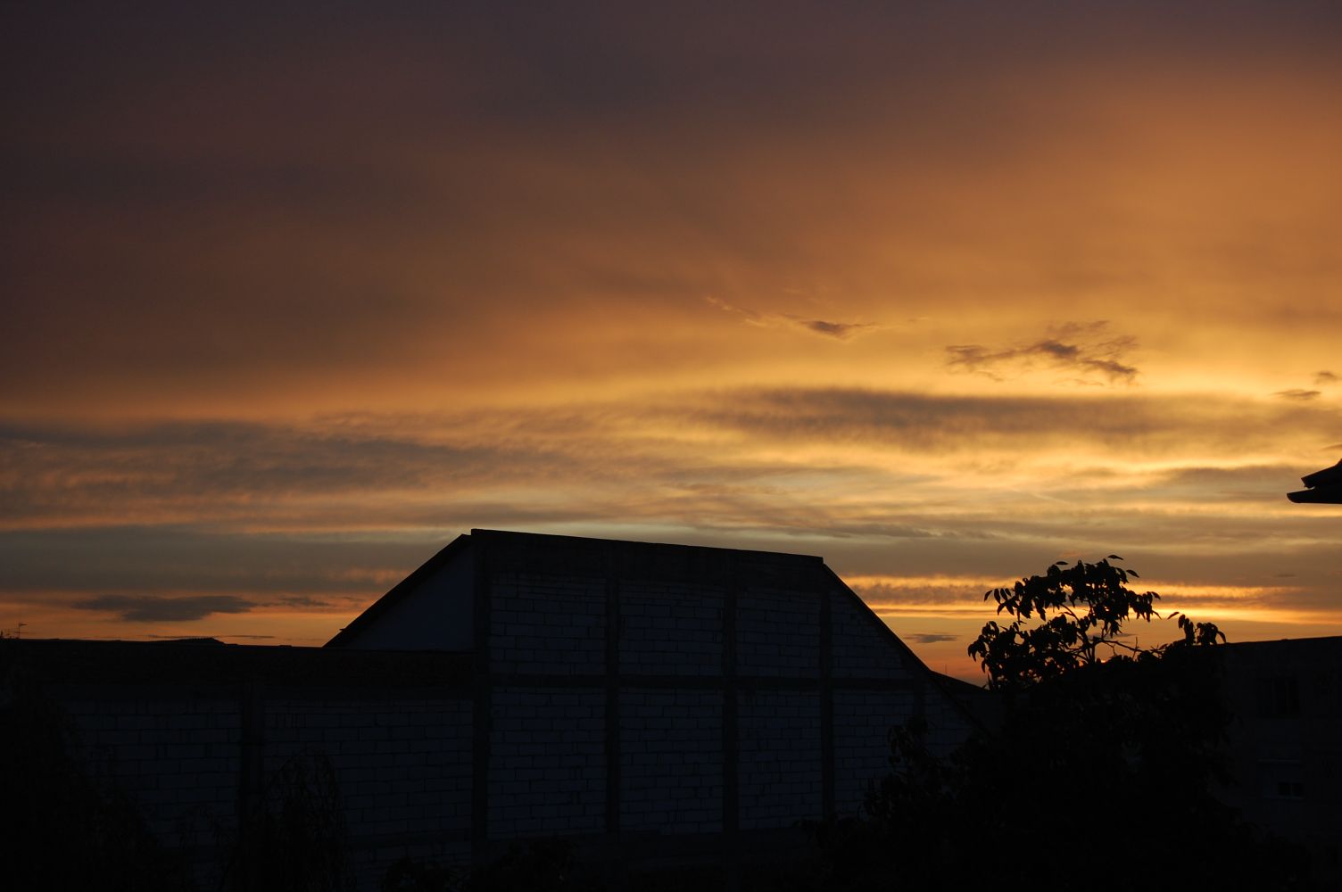 DSC_0135.jpg