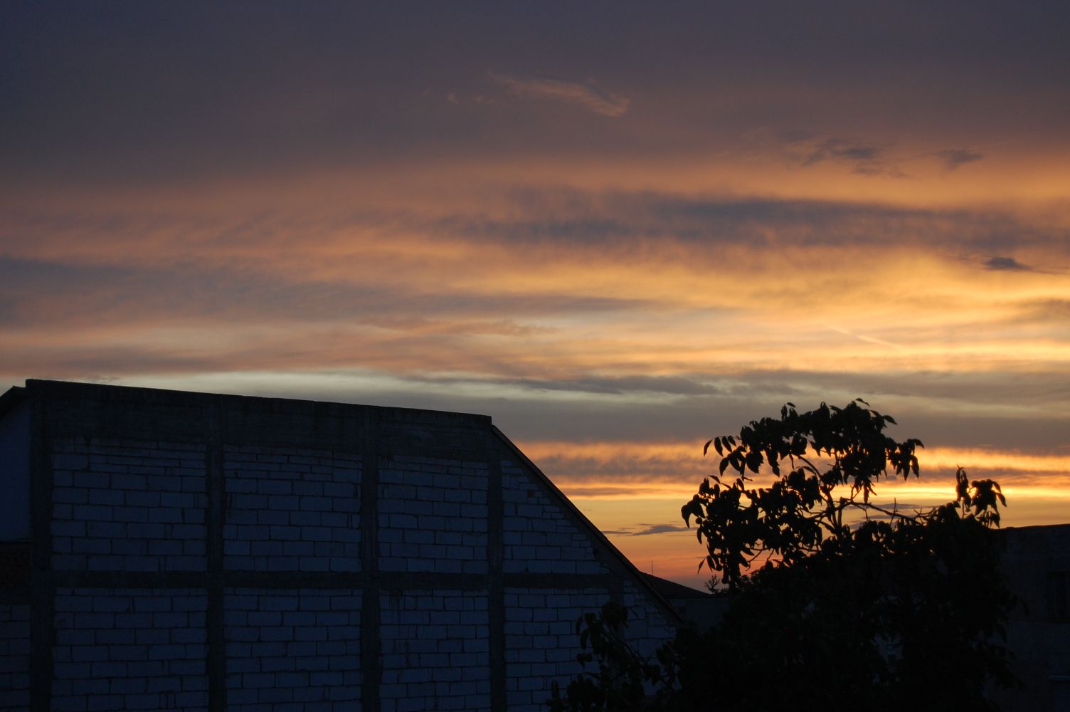 DSC_0147.jpg