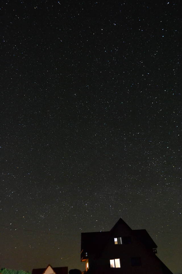 DSC_0281.jpg