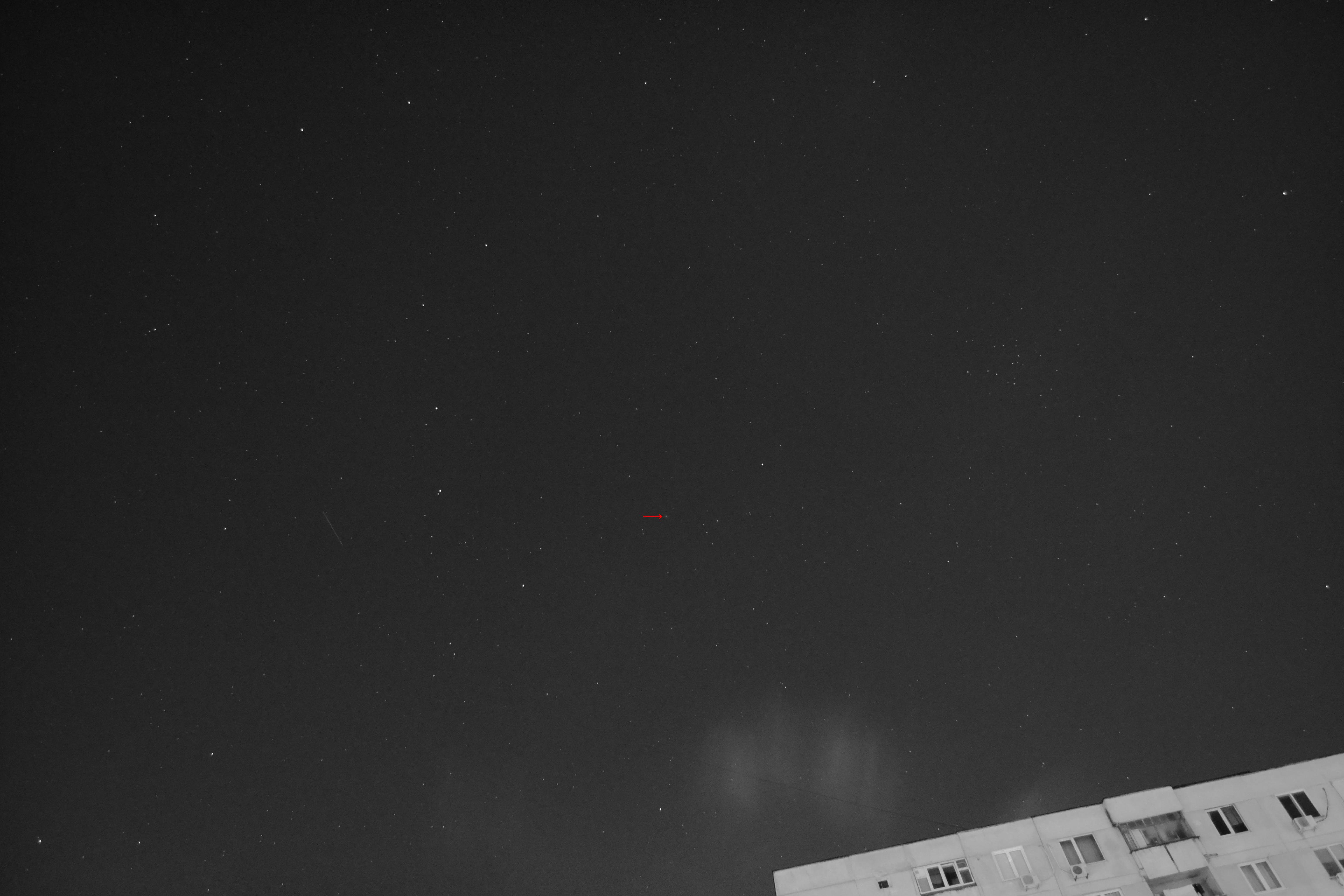 DSC_0291gray.jpg