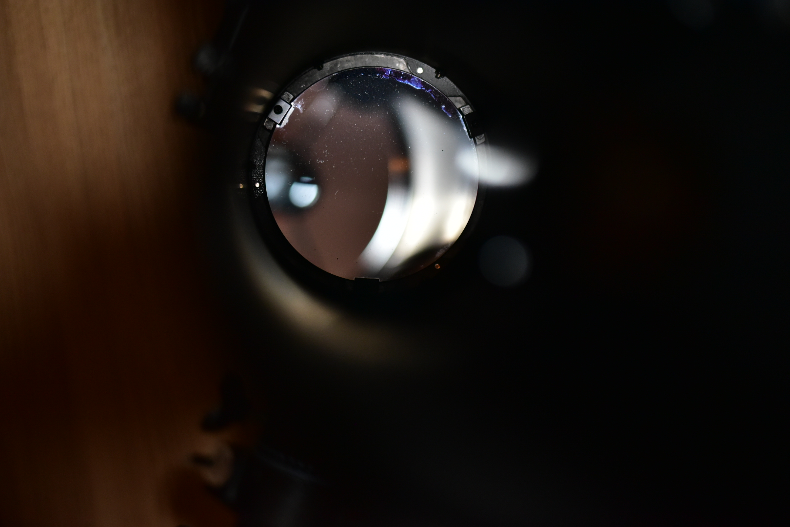 DSC_1155.JPG