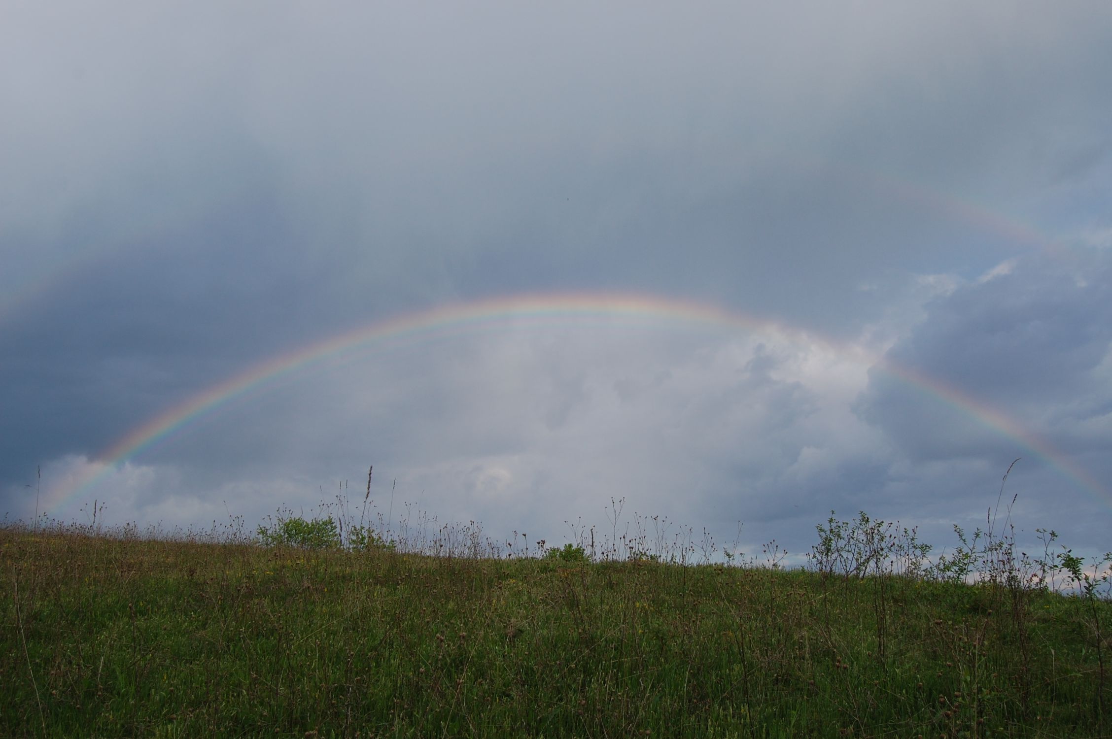 DSC_2402.jpg