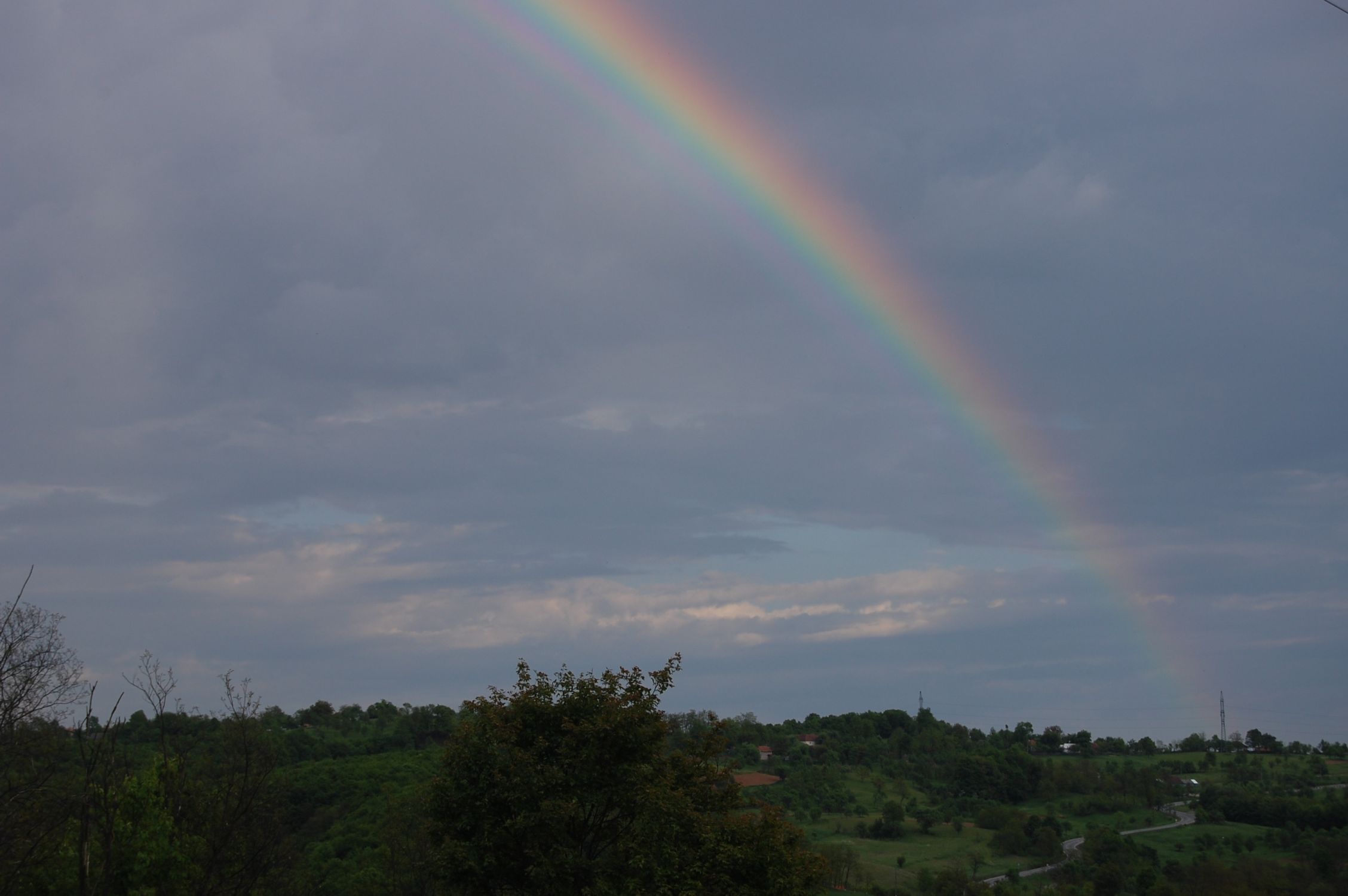DSC_2420.jpg