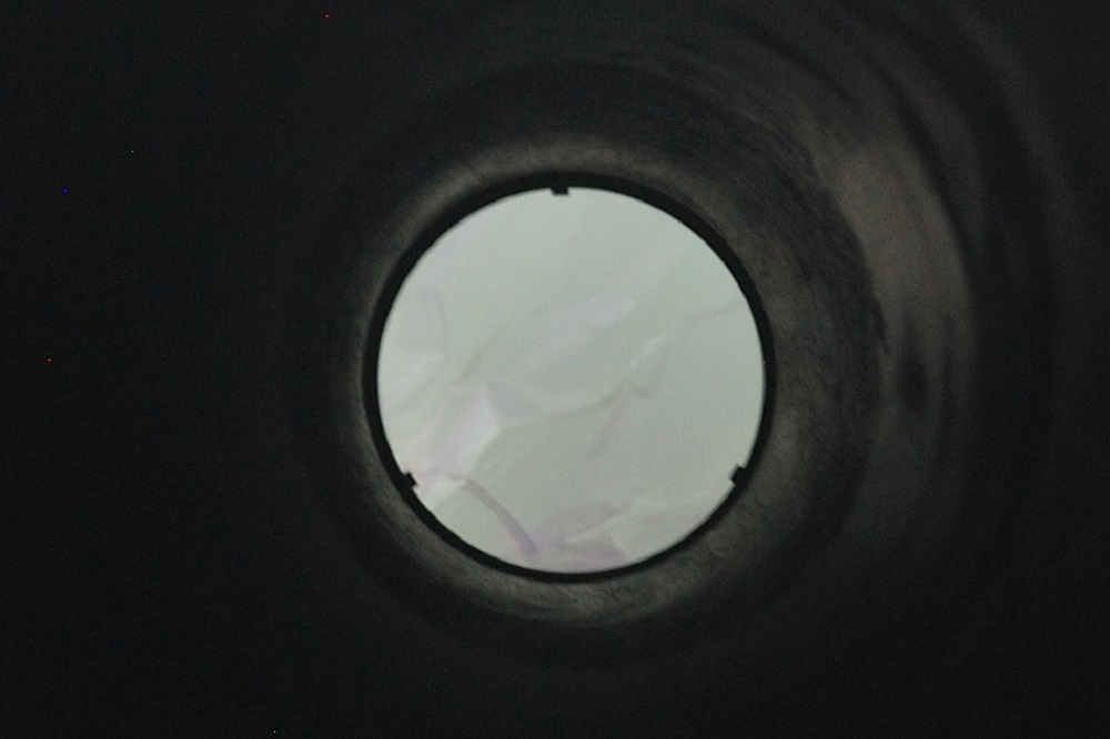 DSC_2807 crop.jpg
