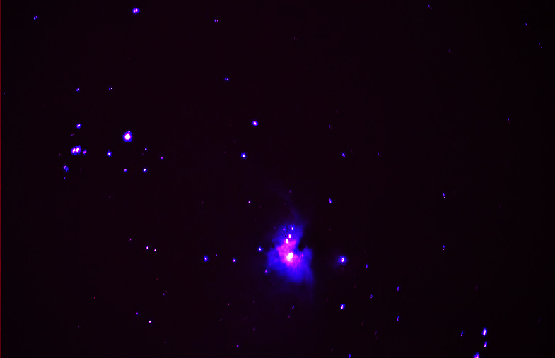 DSC_7794 copy1.jpg