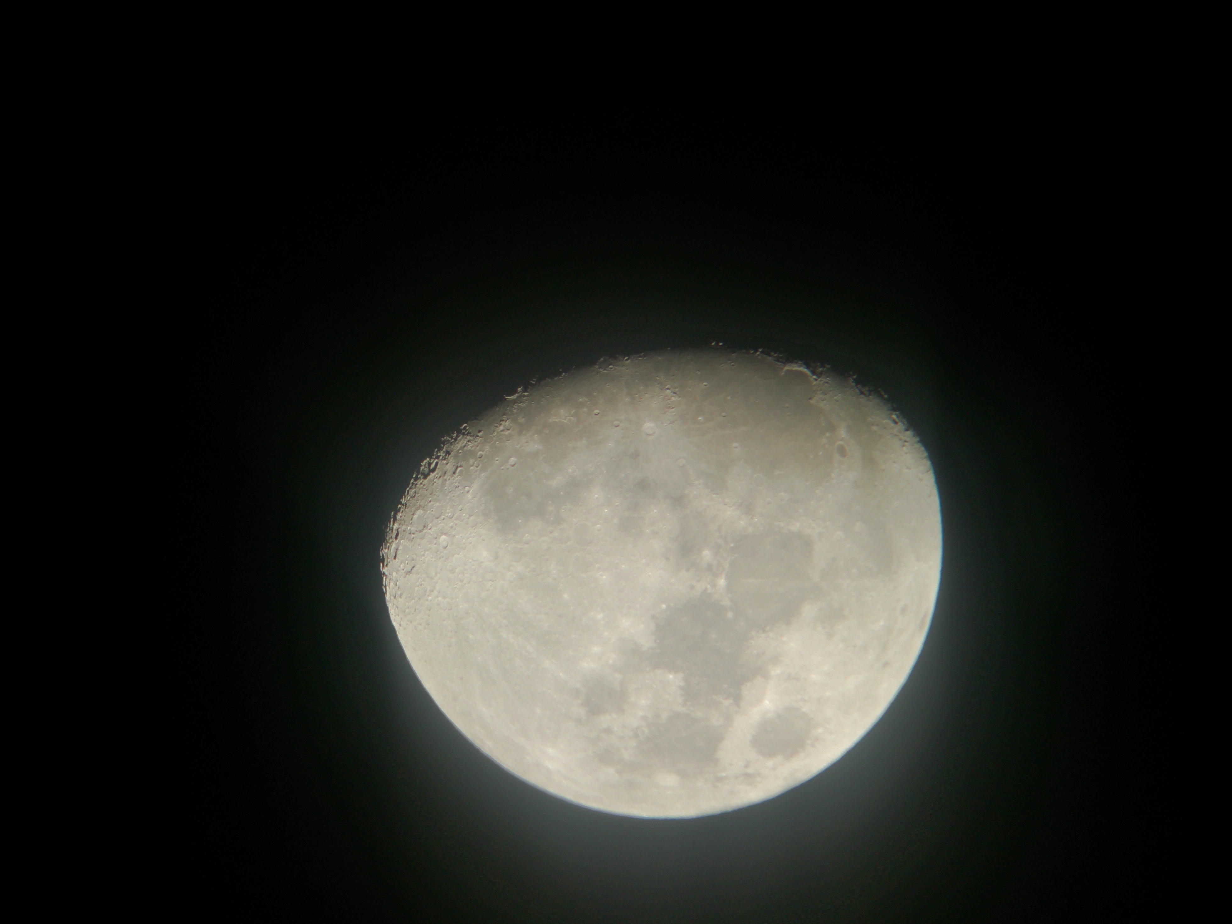DSC_9240.jpg