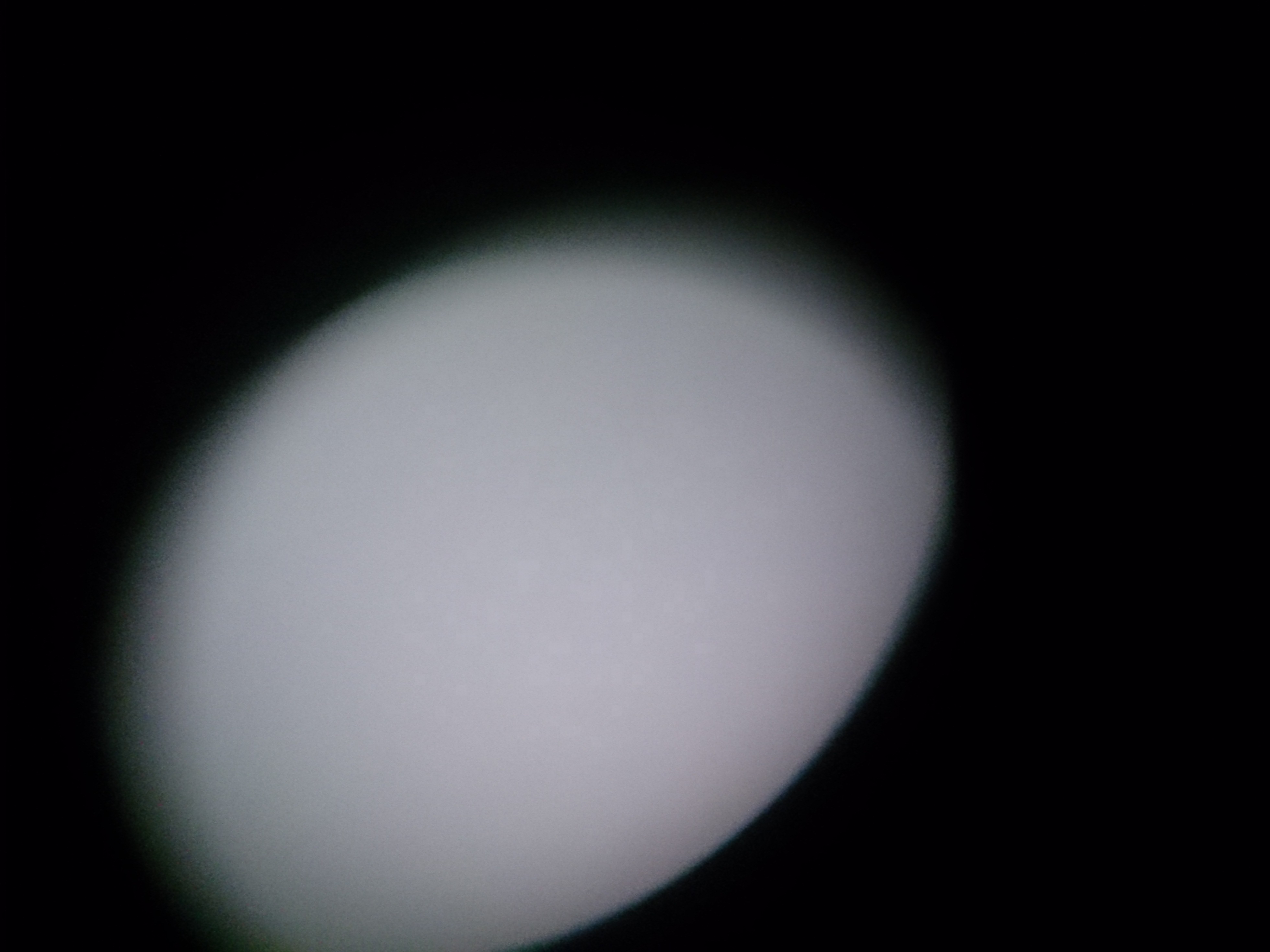 DSC_9250.jpg