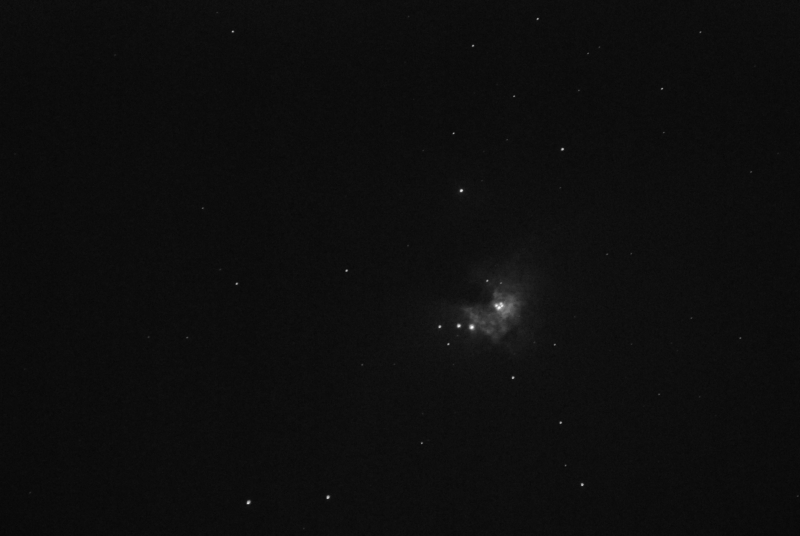 DSC_9817.jpg